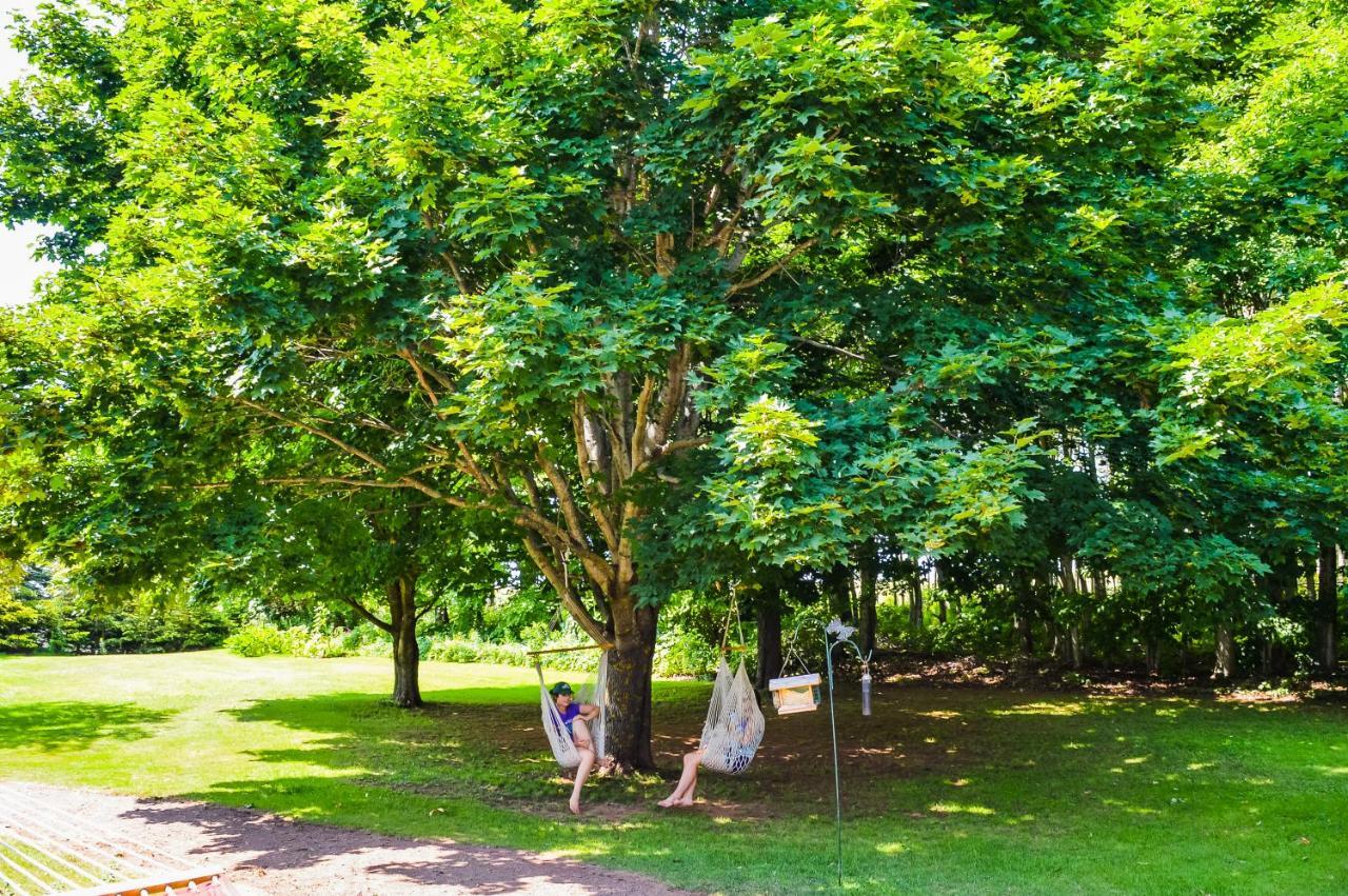 Bugaboo Cottages Summerside Ngoại thất bức ảnh